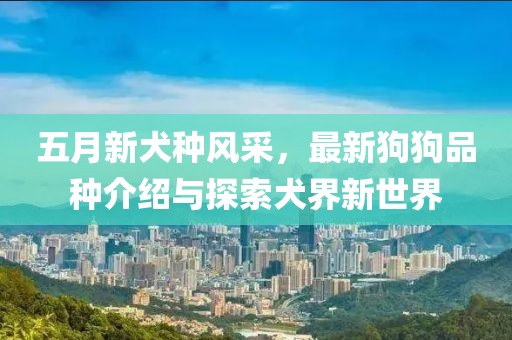 五月新犬种风采，最新狗狗品种介绍与探索犬界新世界
