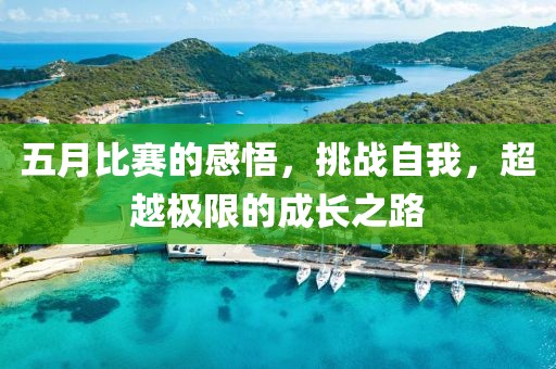 五月比赛的感悟，挑战自我，超越极限的成长之路