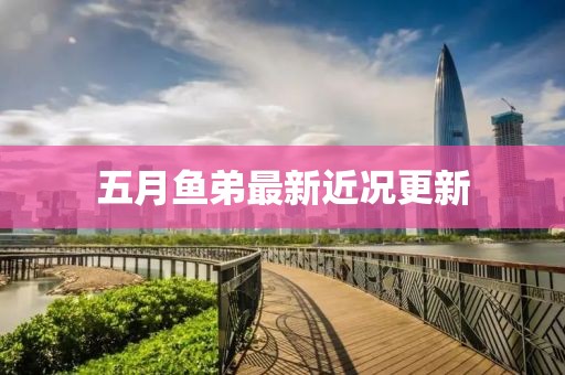 五月鱼弟最新近况更新