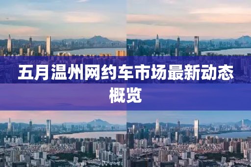 五月温州网约车市场最新动态概览