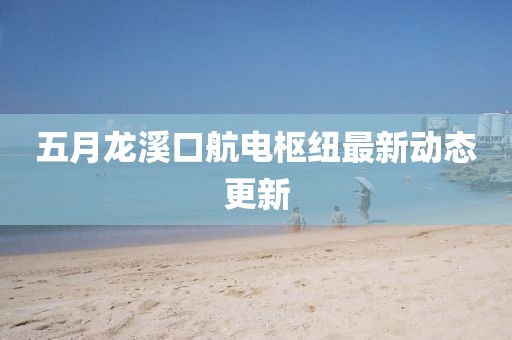 五月龙溪口航电枢纽最新动态更新