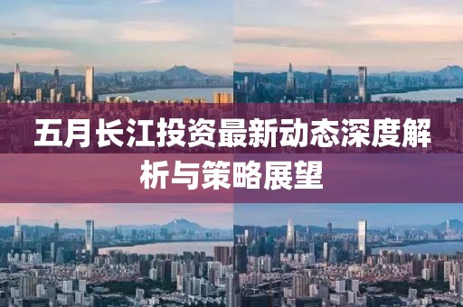 五月长江投资最新动态深度解析与策略展望