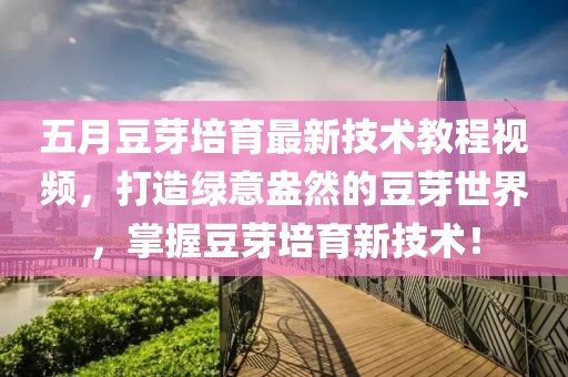 五月豆芽培育最新技术教程视频，打造绿意盎然的豆芽世界，掌握豆芽培育新技术！