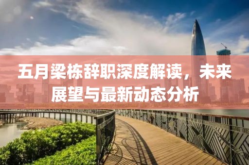 五月梁栋辞职深度解读，未来展望与最新动态分析