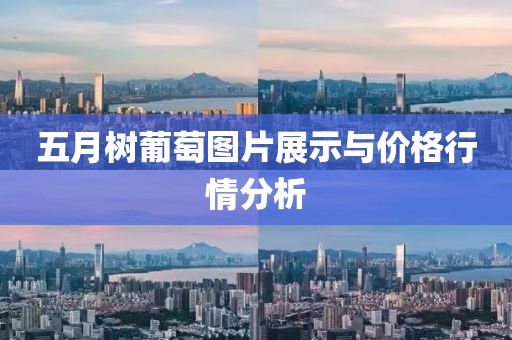 五月树葡萄图片展示与价格行情分析