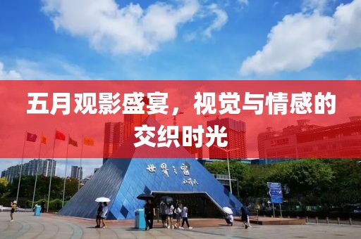五月观影盛宴，视觉与情感的交织时光