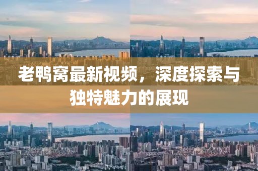 老鸭窝最新视频，深度探索与独特魅力的展现