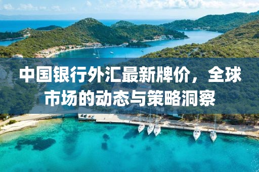 中国银行外汇最新牌价，全球市场的动态与策略洞察