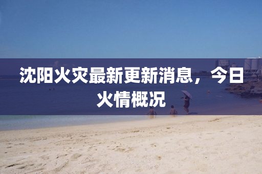 沈阳火灾最新更新消息，今日火情概况