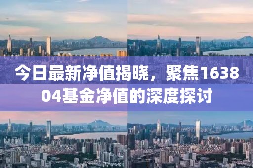 今日最新净值揭晓，聚焦163804基金净值的深度探讨