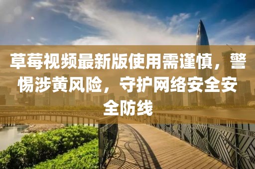 草莓视频最新版使用需谨慎，警惕涉黄风险，守护网络安全安全防线