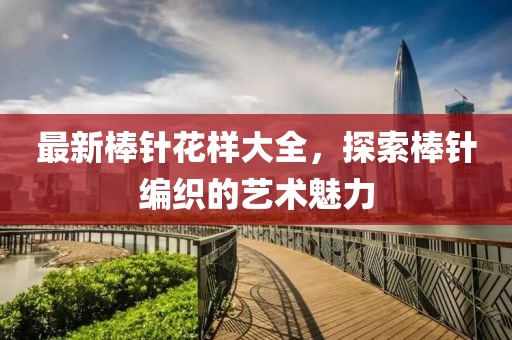 最新棒针花样大全，探索棒针编织的艺术魅力