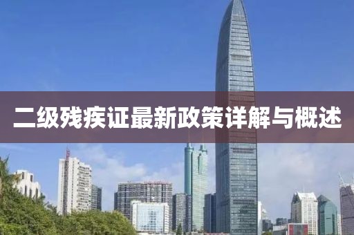 二级残疾证最新政策详解与概述