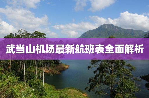 武当山机场最新航班表全面解析