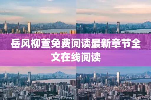 岳风柳萱免费阅读最新章节全文在线阅读