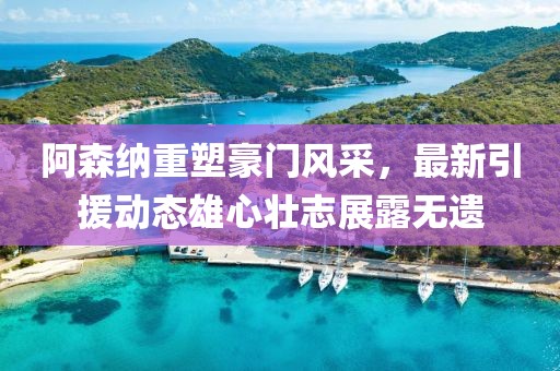 阿森纳重塑豪门风采，最新引援动态雄心壮志展露无遗