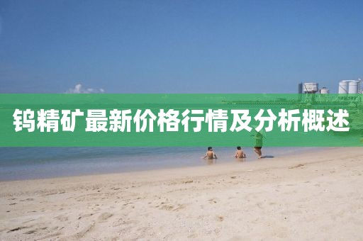 钨精矿最新价格行情及分析概述