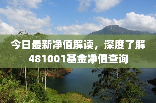 今日最新净值解读，深度了解481001基金净值查询
