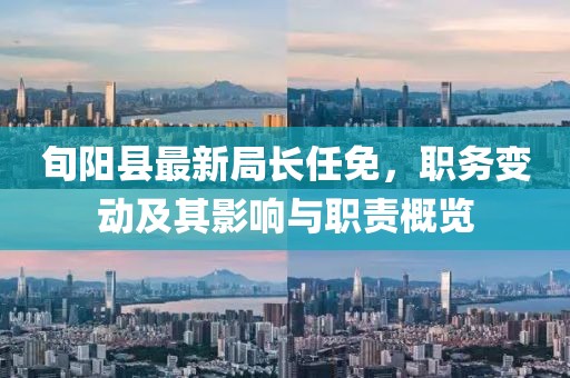 旬阳县最新局长任免，职务变动及其影响与职责概览