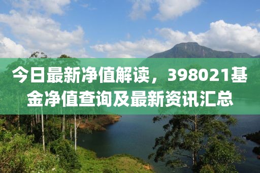 今日最新净值解读，398021基金净值查询及最新资讯汇总