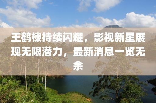 王鹤棣持续闪耀，影视新星展现无限潜力，最新消息一览无余