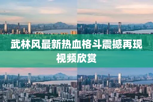 武林风最新热血格斗震撼再现视频欣赏