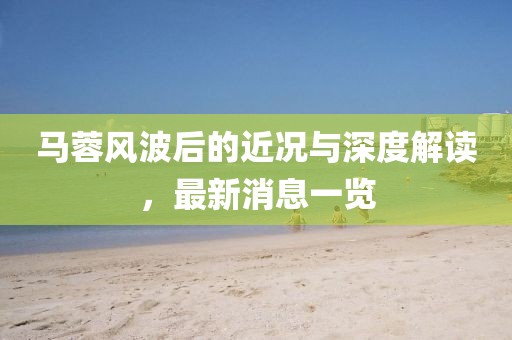 马蓉风波后的近况与深度解读，最新消息一览