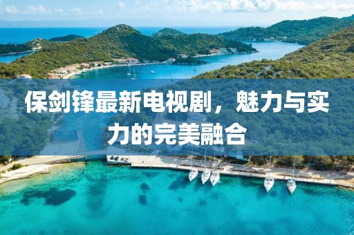 保剑锋最新电视剧，魅力与实力的完美融合