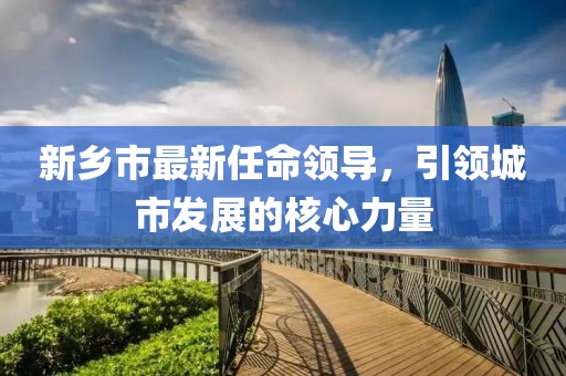新乡市最新任命领导，引领城市发展的核心力量