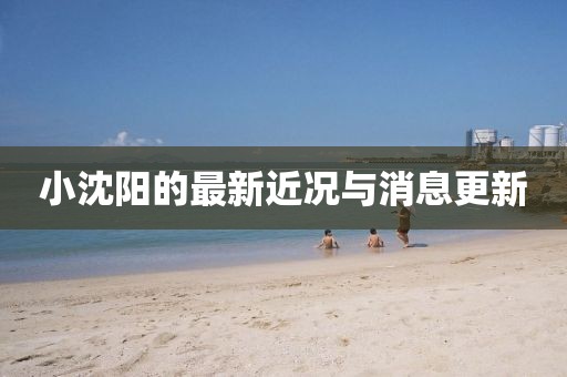 小沈阳的最新近况与消息更新