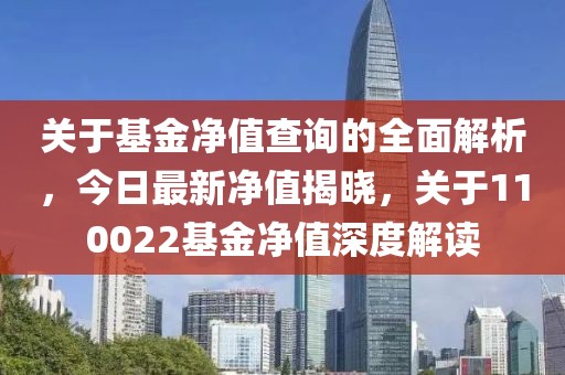 关于基金净值查询的全面解析，今日最新净值揭晓，关于110022基金净值深度解读