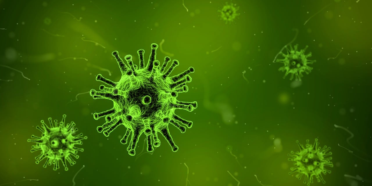 重症感染最新诊断标准解析与应用指南