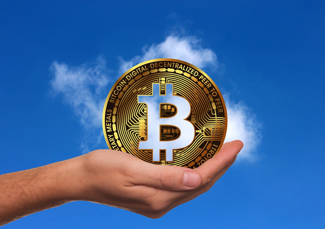 江苏玉米价格最新行情及分析概述
