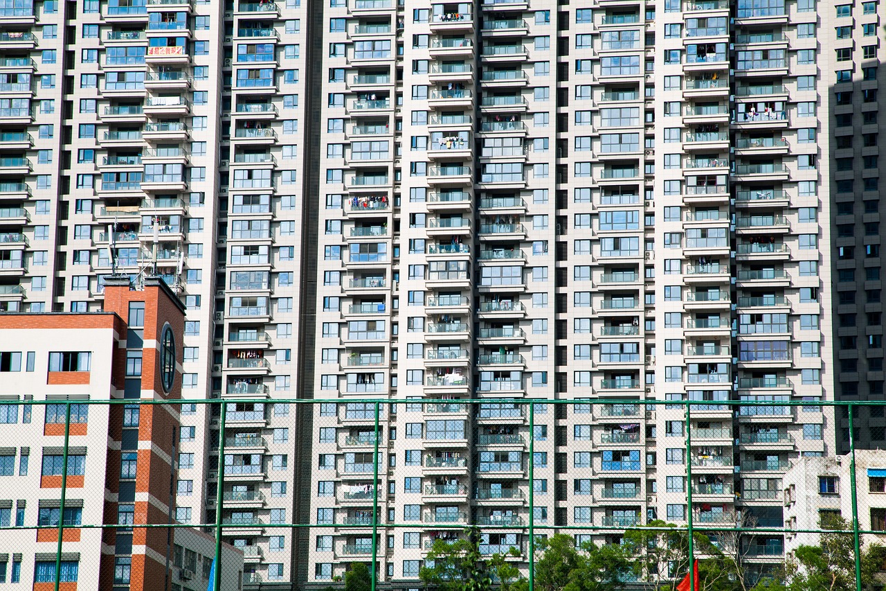 仙珠 第7页