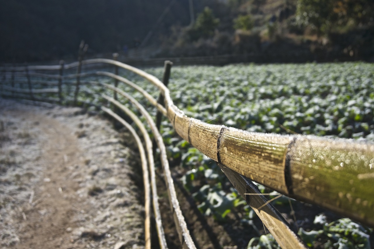 仁寿永兴国际最新资讯，城市前沿动态与深度解读