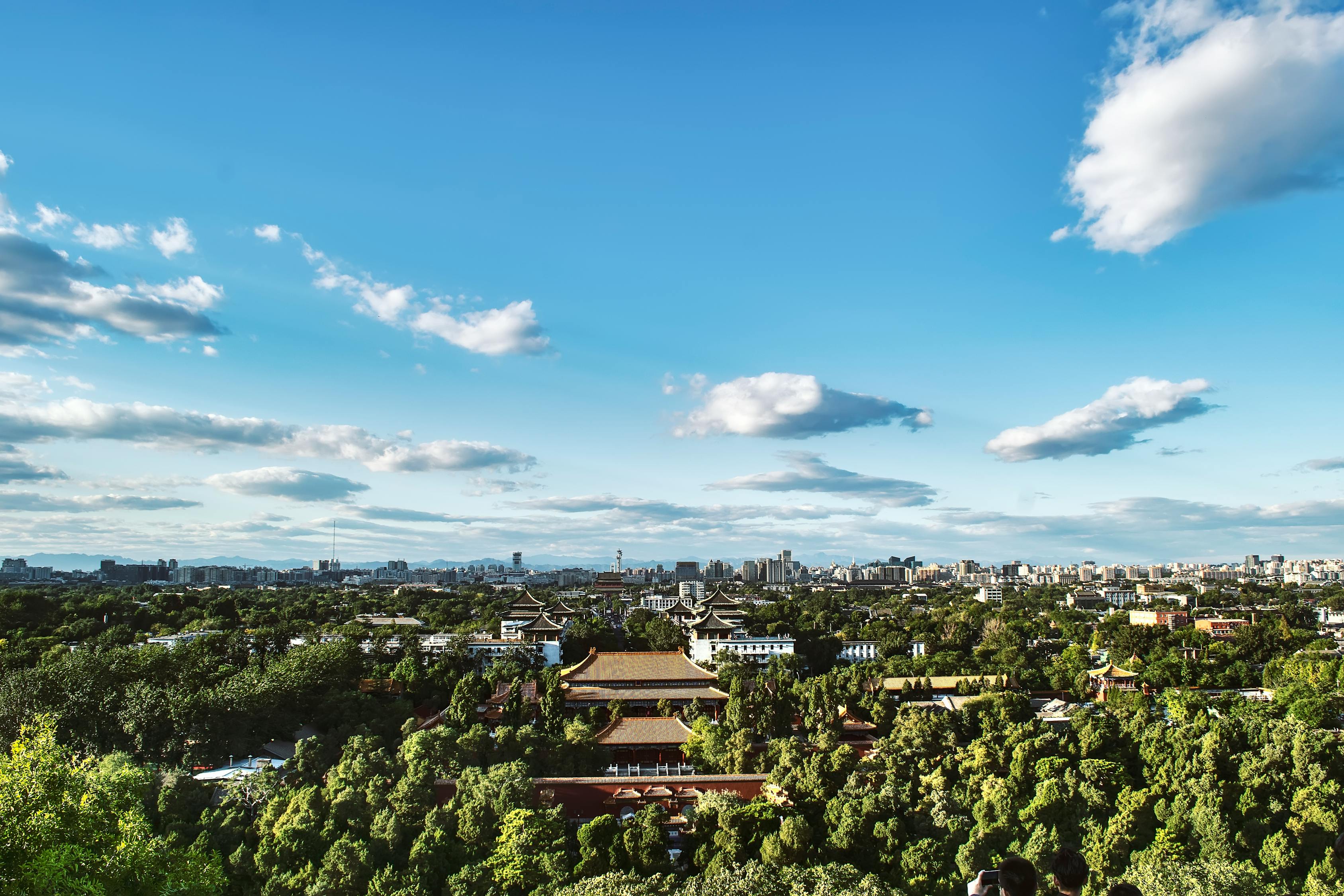 嘉兴发展动态，城市脉搏与民生改善同步前行