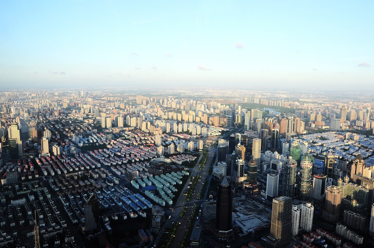 梨行情走势深度分析，市场趋势与未来发展预测
