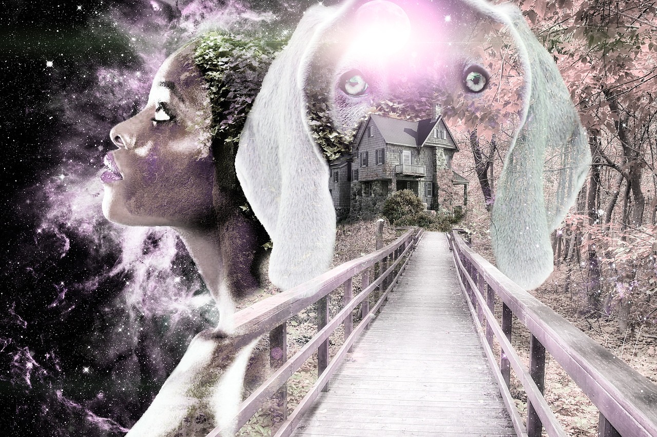 美景之屋电影，自然与艺术融合的绝美探索