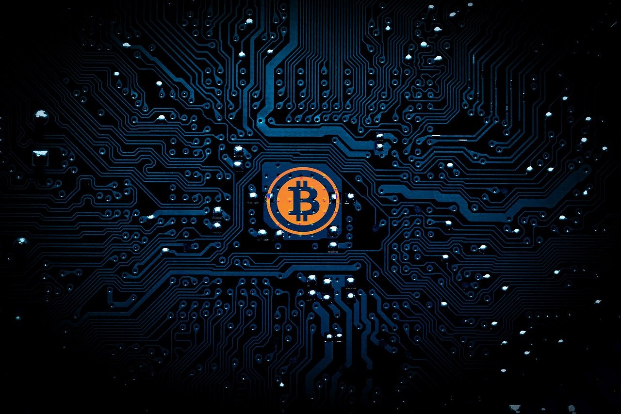 廖睿博 第4页